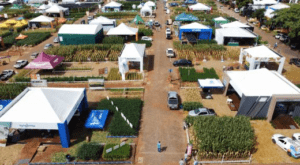 24207AF3-7300-41DA-85B1-F57537753E20