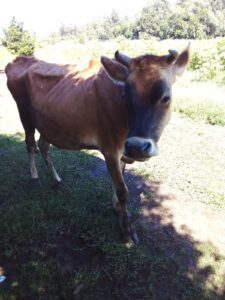 90BC133D-BB95-402F-9280-707CAFA9DCBE