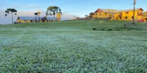 Captura da Web_1-4-2022_103242_www.correiodopovo.com.br