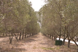 234DC1B1-7E1F-479E-94FB-7A4F180C3E95