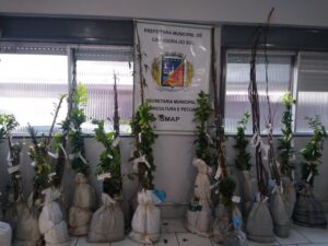 70f1394ddea6cf63180bcd40405434e7