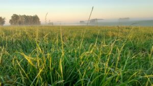 7f0fbb8d19540c4d89a2b25787c724d8