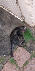 84BBC603-A3E4-4164-AE52-25D245CC13BE