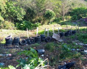 892F2A67-8445-4568-A4E2-CDCA50404741