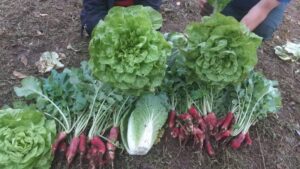 AAEDC323-ADBA-41A1-8C50-AB9A0616BF7D