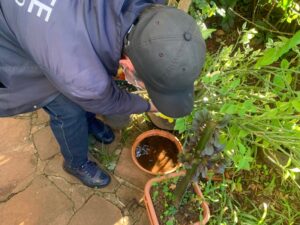 B09135B8-CB6C-46AD-AE4F-45953AA70228