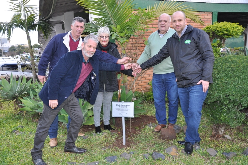 337ea2d5f53bd72222d88b9a6f1f985d