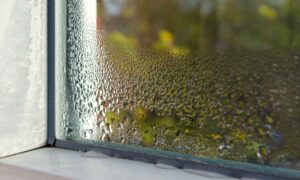 Umidade-do-ar-quais-os-possíveis-reflexos-em-nossa-saúde-1