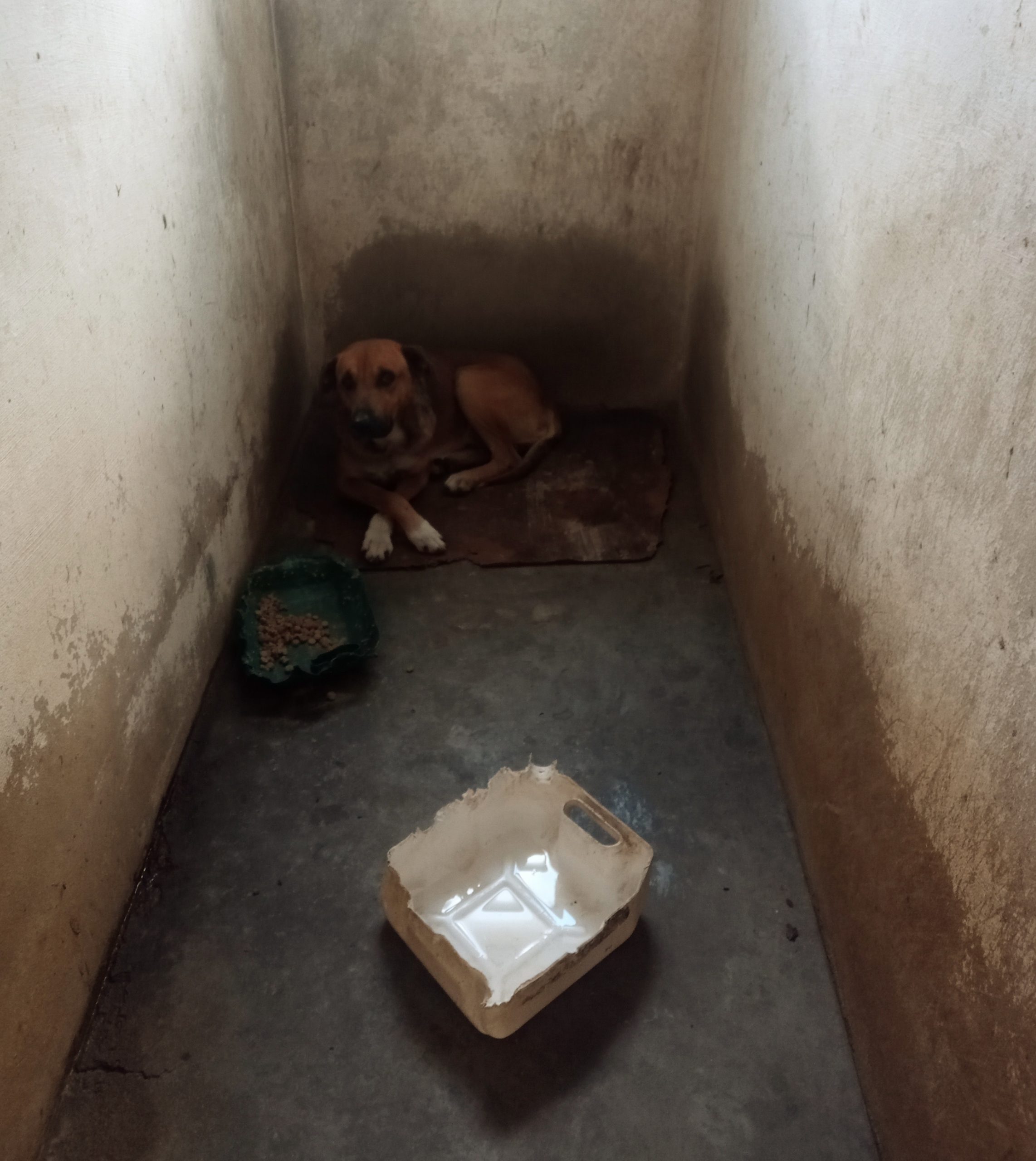 IMG_20220818_133716_719