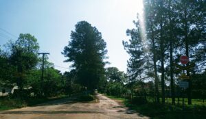 IMG_20220831_105815_402