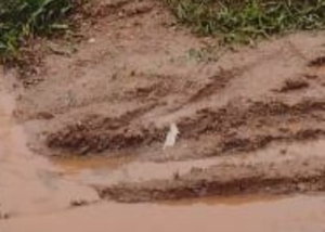 Screenshot_20221003-172937~2