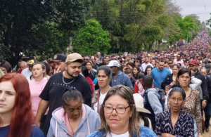 Screenshot_20221016-115934~2