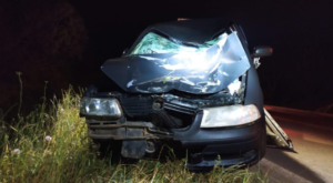 Screenshot_20221023-104039~2