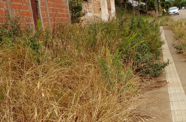 IMG-20221122-WA0094~2