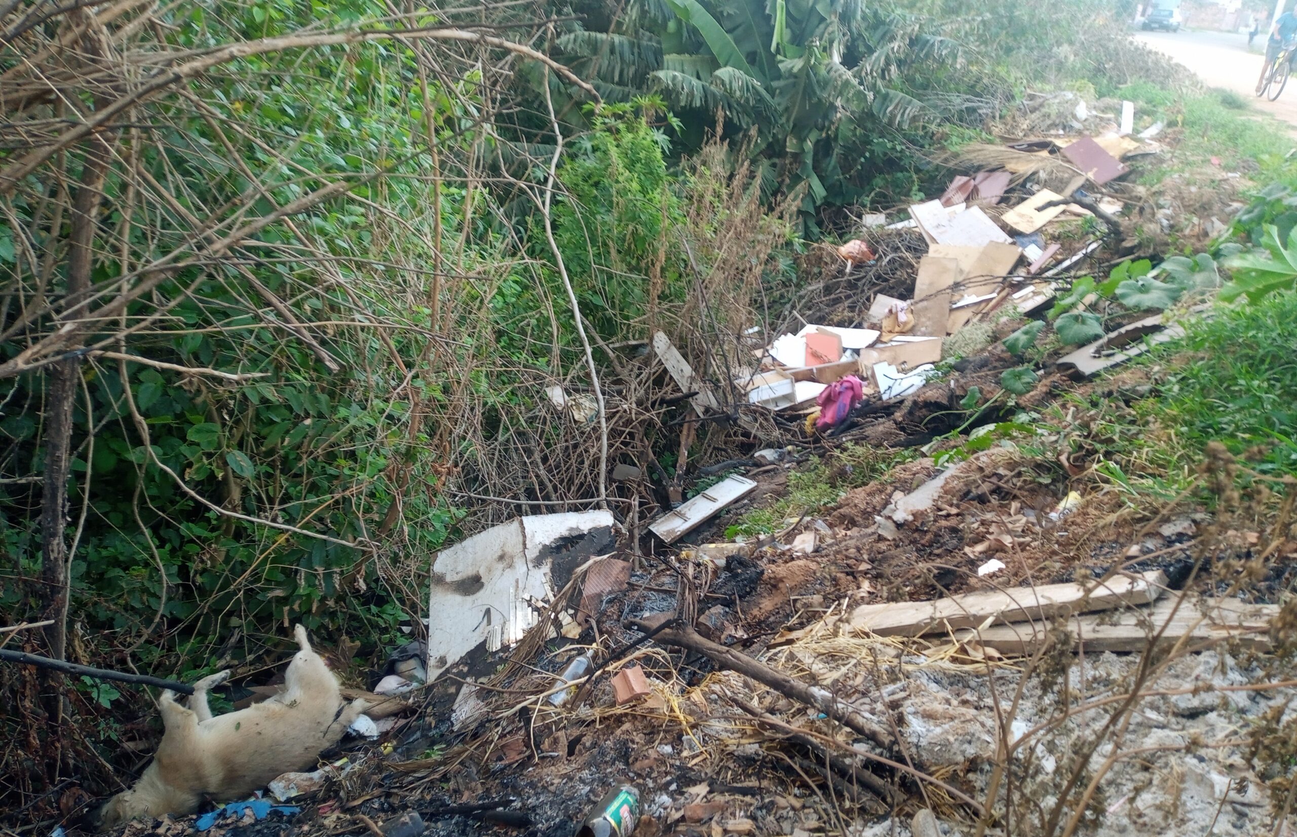 IMG_20221129_183449_964