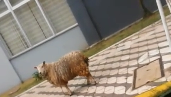 Screenshot_20221114-075834~2