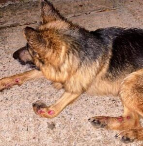 FB_IMG_1670069537160