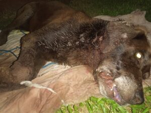 IMG_20221202_020822_997