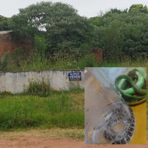 InShot_20221228_100454602