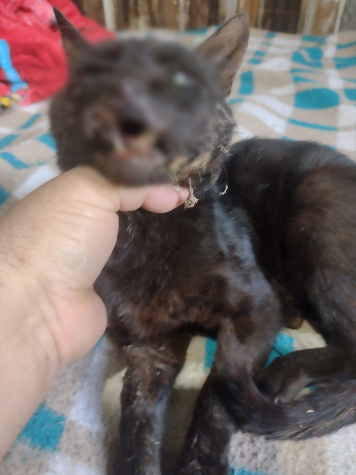 Point Blur_Dec182022_162416