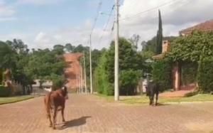 Screenshot_20221218-170208~2