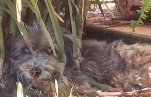 FB_IMG_1672787161609