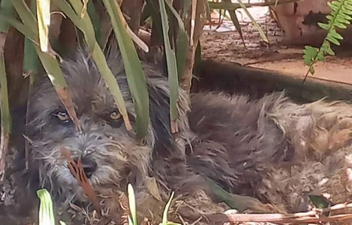 FB_IMG_1672787161609