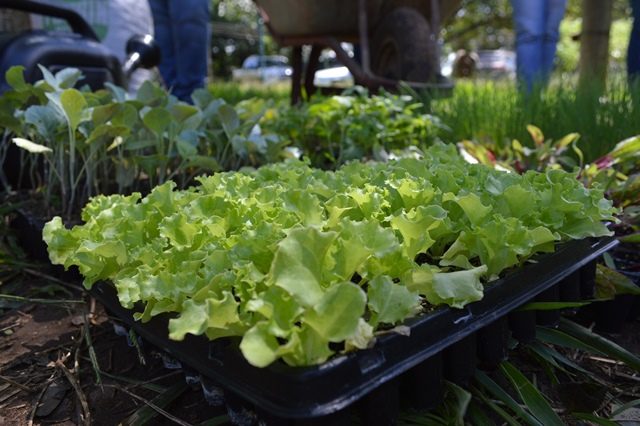 c55968c9c2631dc3df4951697a0d3d75