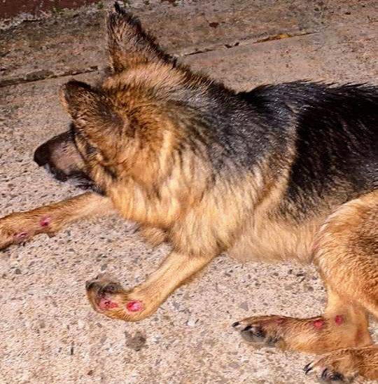 FB_IMG_1679060003829