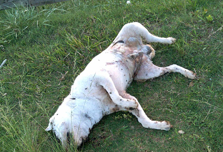 IMG-20230316-WA0163~2