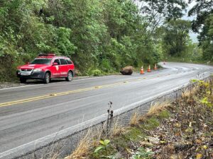 349708627_1394353894674465_509157805984251616_n