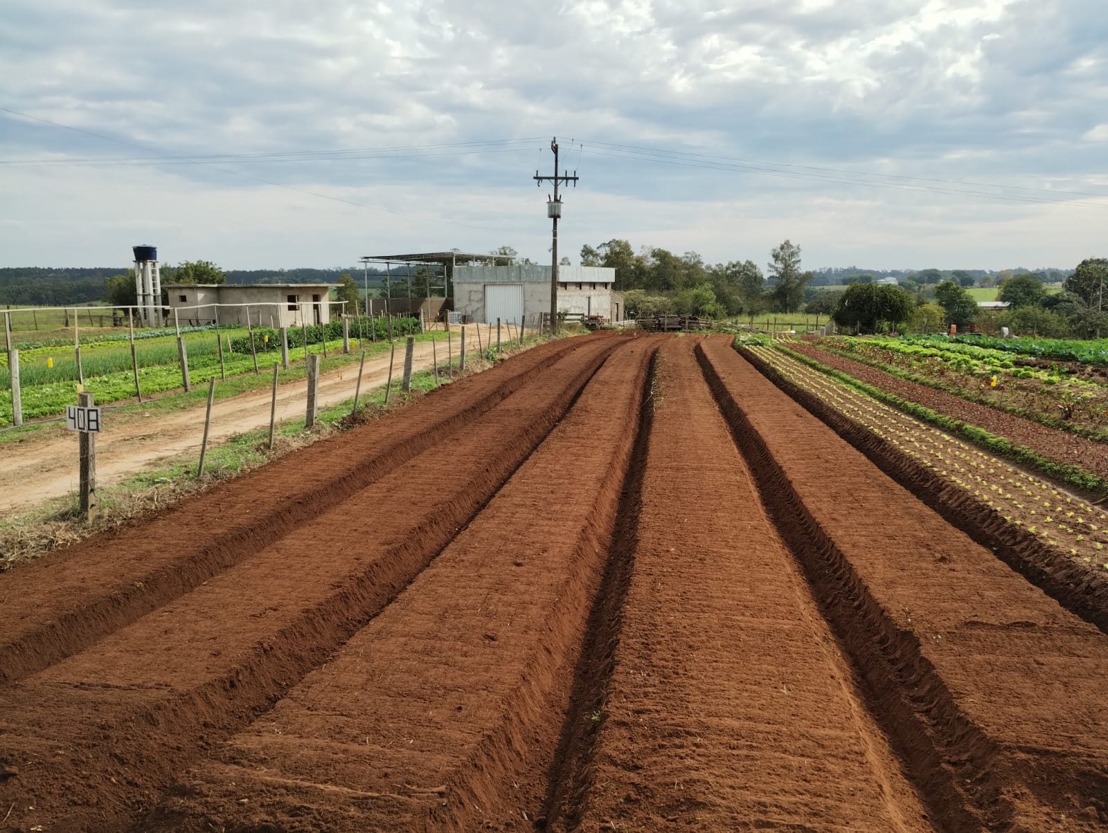 88e381f1-18bf-45e0-bec4-b1a2cca3292e