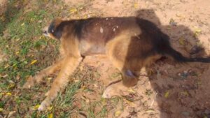 FB_IMG_1685011860981