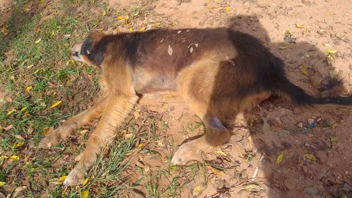 FB_IMG_1685011860981