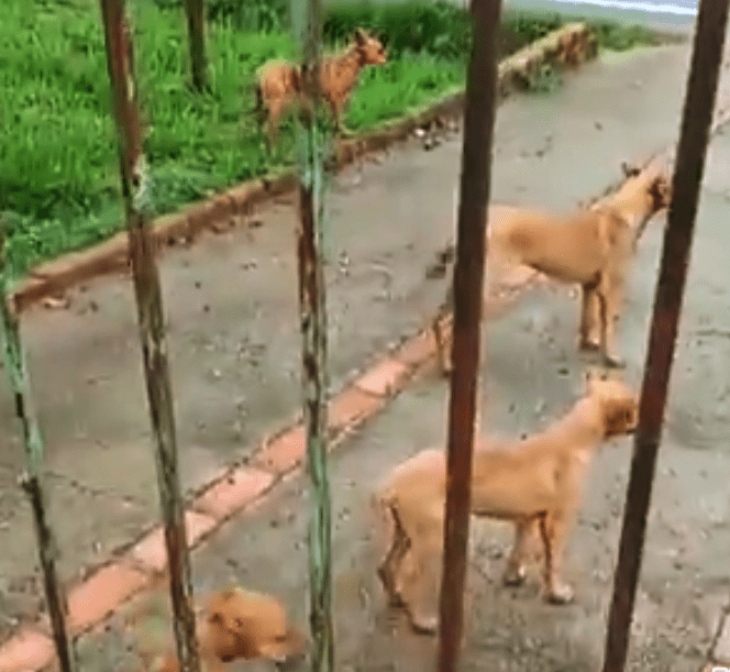 Screenshot_20230507-193659~2