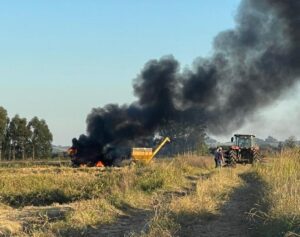 colhetadeiracandelaria