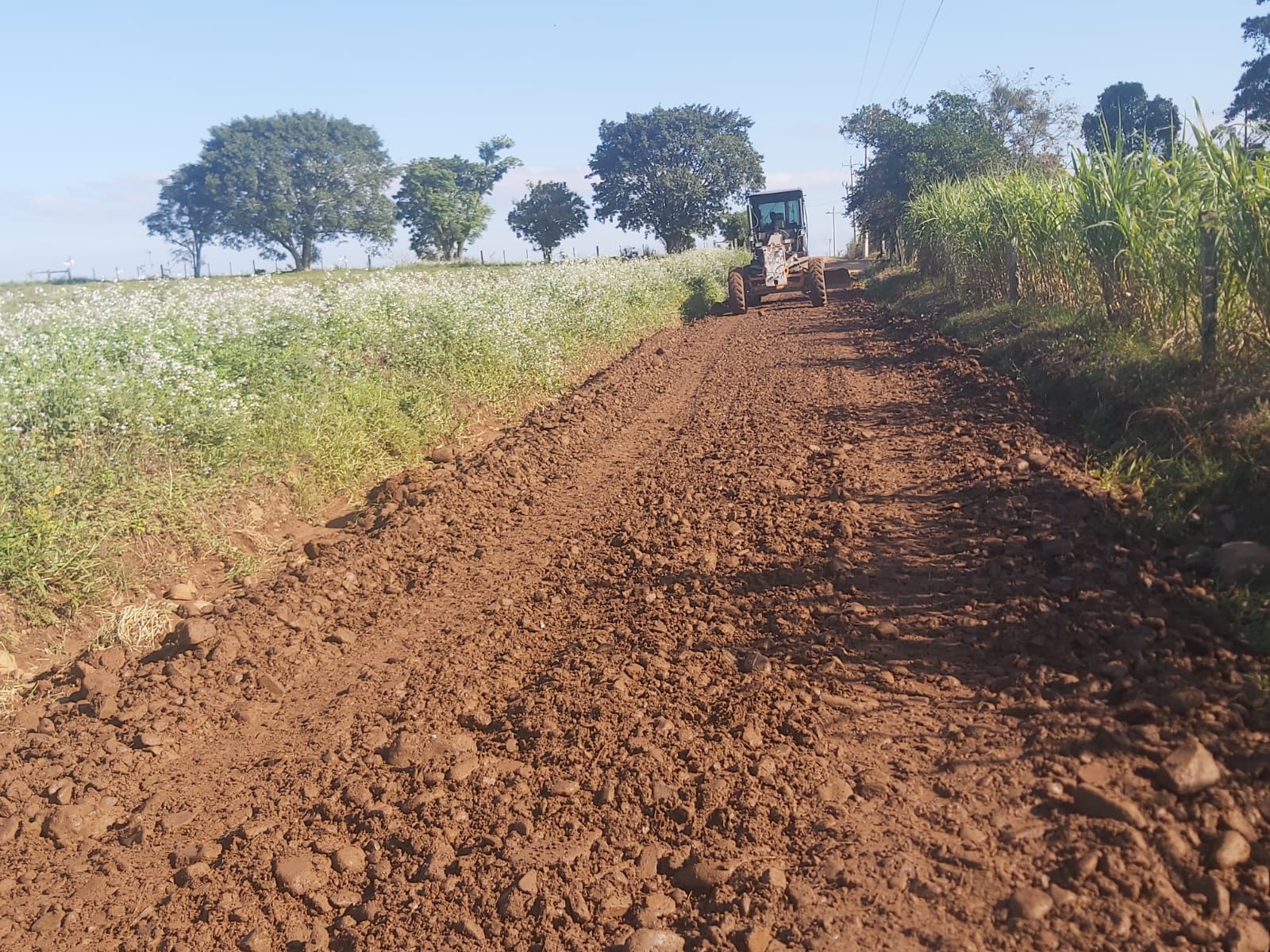 350529607_266908249154524_760449511874769534_n