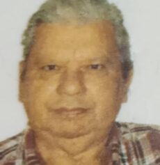 LANES-FLORES-PORCIUNCULA-2-230x237-2