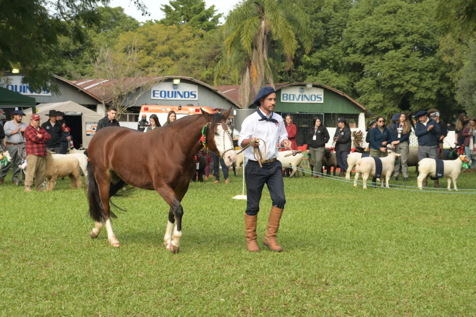 WhatsApp-Image-2023-06-11-at-14.18.16-1