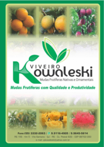 618363b29a3c5a9d8215cbad64968266