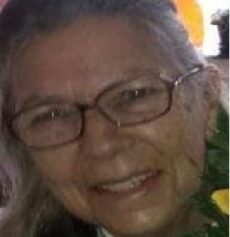 VALDEMIRA-BELO-BRITO.-1-230x237-1