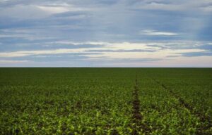 b6ddb1640e40bdd68db56d48e7164c4813c0819bad11420b1fe7db253f4a5ce3-5