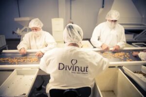 divinut-planta-industrial