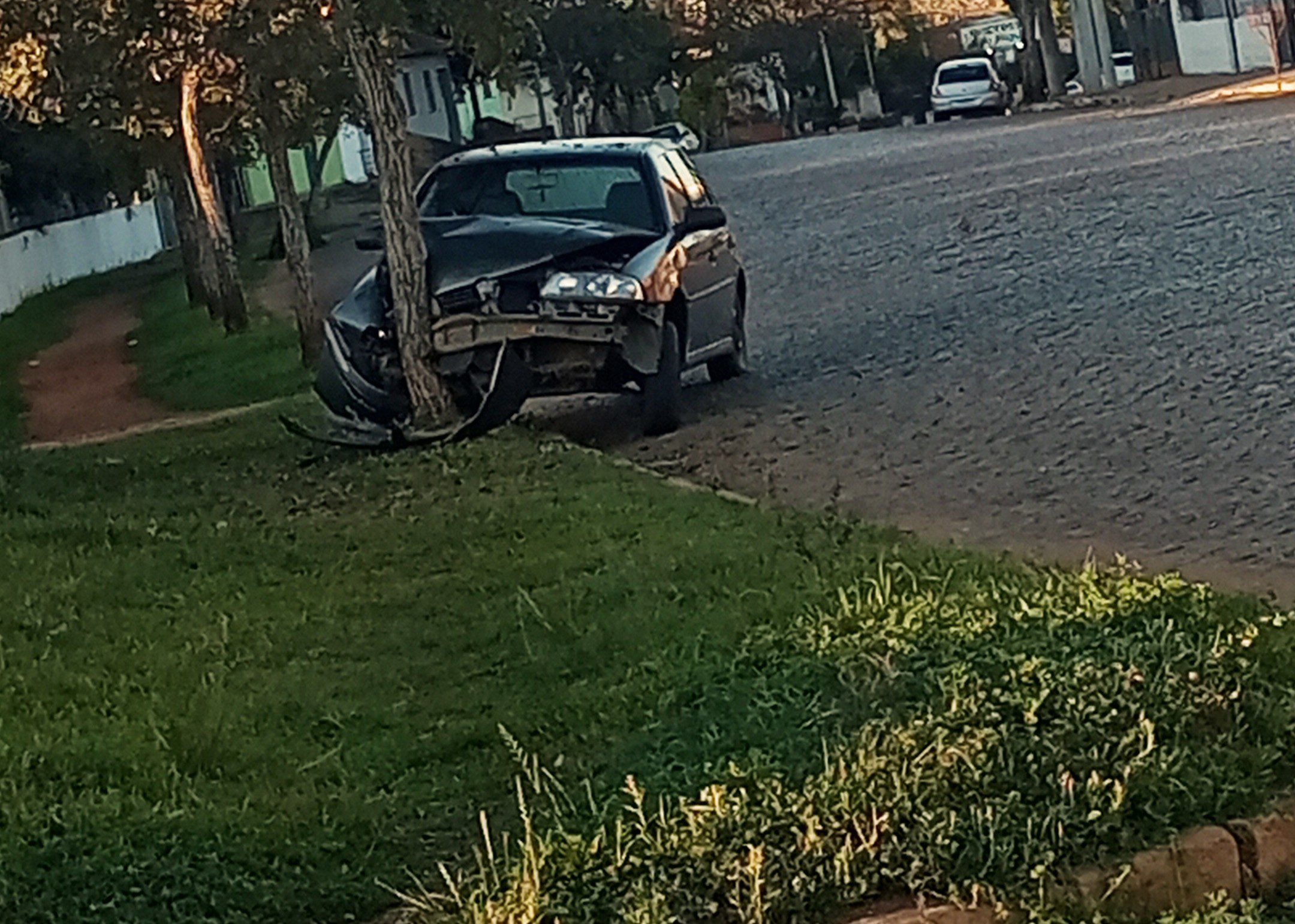 IMG-20230826-WA0009~2