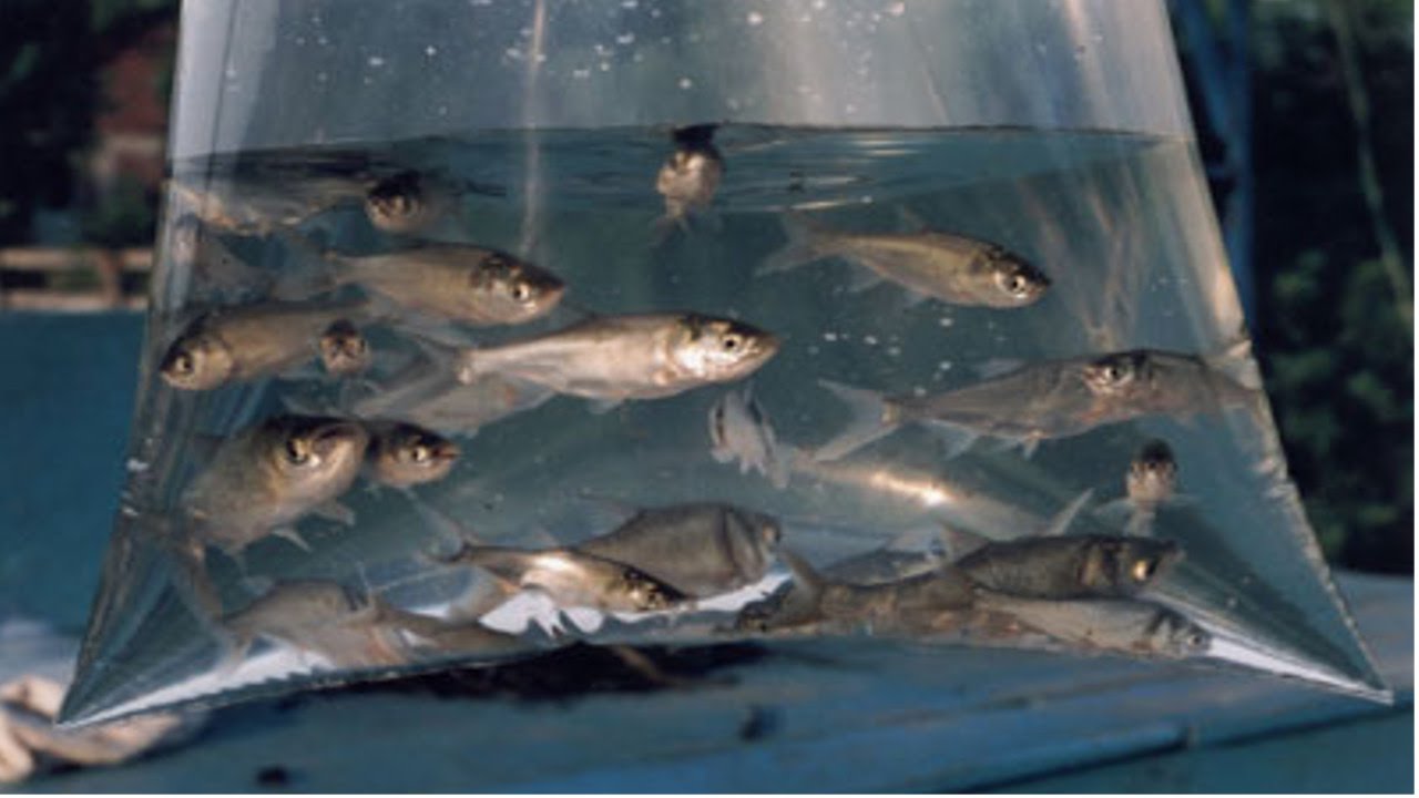 20191119_154235_maxresdefault