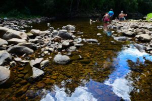 3d4be233-e096-4e83-ba5c-418690dbd449