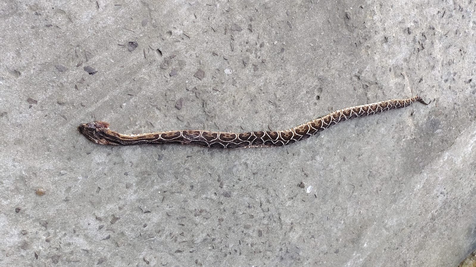 Imagem do WhatsApp de 2023-12-11 à(s) 18.43.21_b49dcf68