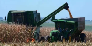 colheita-de-milho-foto-Fernando-Dias-Seapi-Divulgac-o-CP