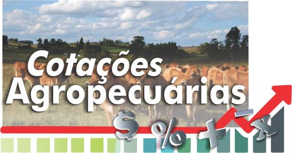 logo_info_agro_cotacoes