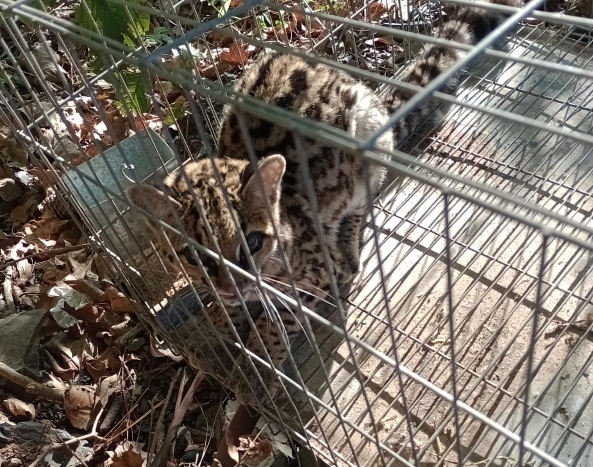 392846147_835269231950656_4162082583608422701_n